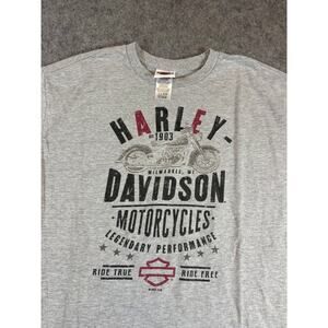 Harley Davidson Shirt Mens Gray Lake Geneva Wisconsin Biker Motorcycle Tee XL